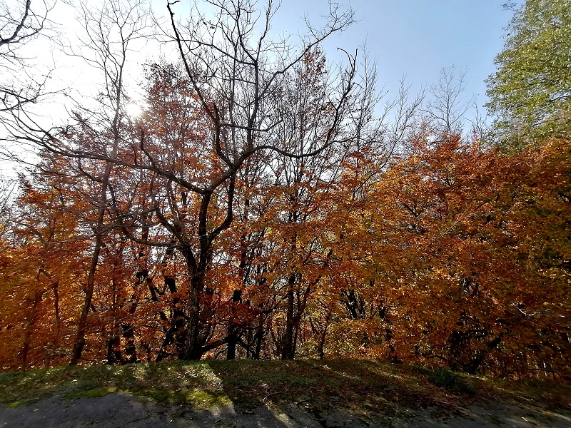 natura dentro e fuori